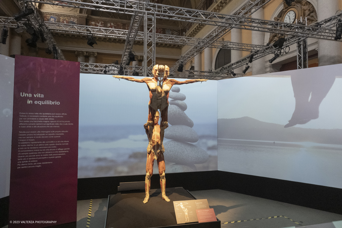 _DSF5269.jpg - 15/09/20223. Torino. La Sala degli Stemmi della Stazione di Torino Porta Nuova ospita, dal 15 settembre 2023 al 14 gennaio 2024, la nuova mostra originale â€œBody Worlds Vitalâ€�. Nella foto sezione dedicata all'importanza di una vita equilibrata