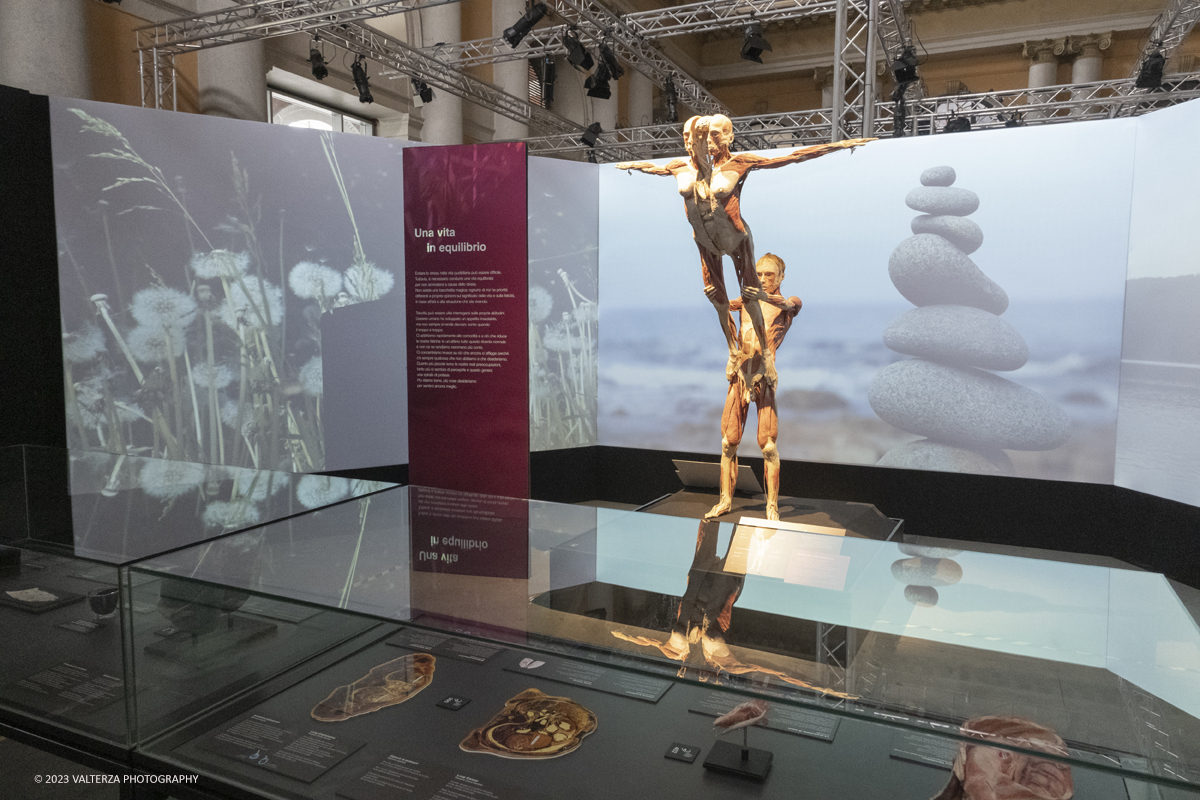 _DSF5271.jpg - 15/09/20223. Torino. La Sala degli Stemmi della Stazione di Torino Porta Nuova ospita, dal 15 settembre 2023 al 14 gennaio 2024, la nuova mostra originale â€œBody Worlds Vitalâ€�. Nella foto sezione dedicata all'importanza di una vita equilibrata