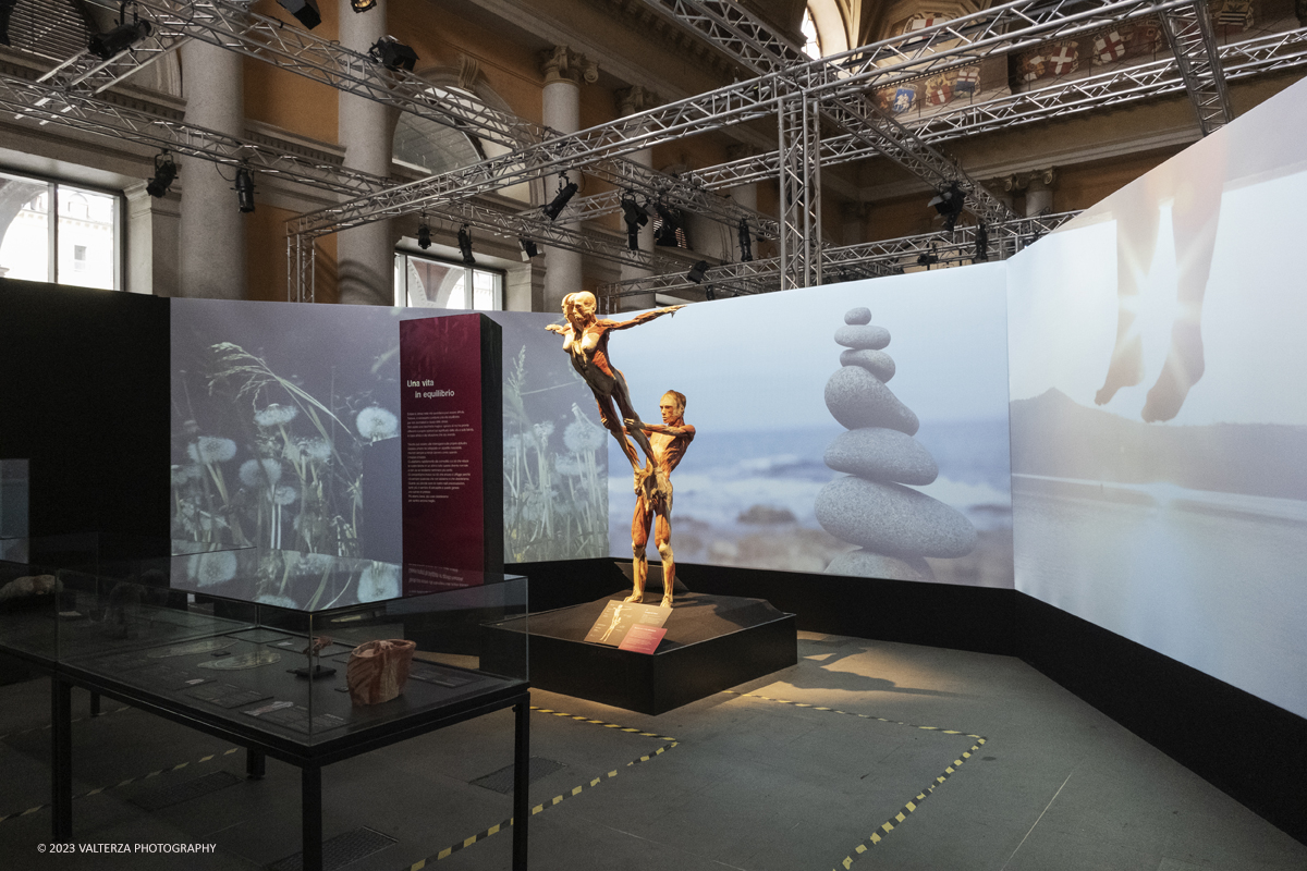 _DSF5276.jpg - 15/09/20223. Torino. La Sala degli Stemmi della Stazione di Torino Porta Nuova ospita, dal 15 settembre 2023 al 14 gennaio 2024, la nuova mostra originale â€œBody Worlds Vitalâ€�. Nella foto sezione dedicata all'importanza di una vita equilibrata