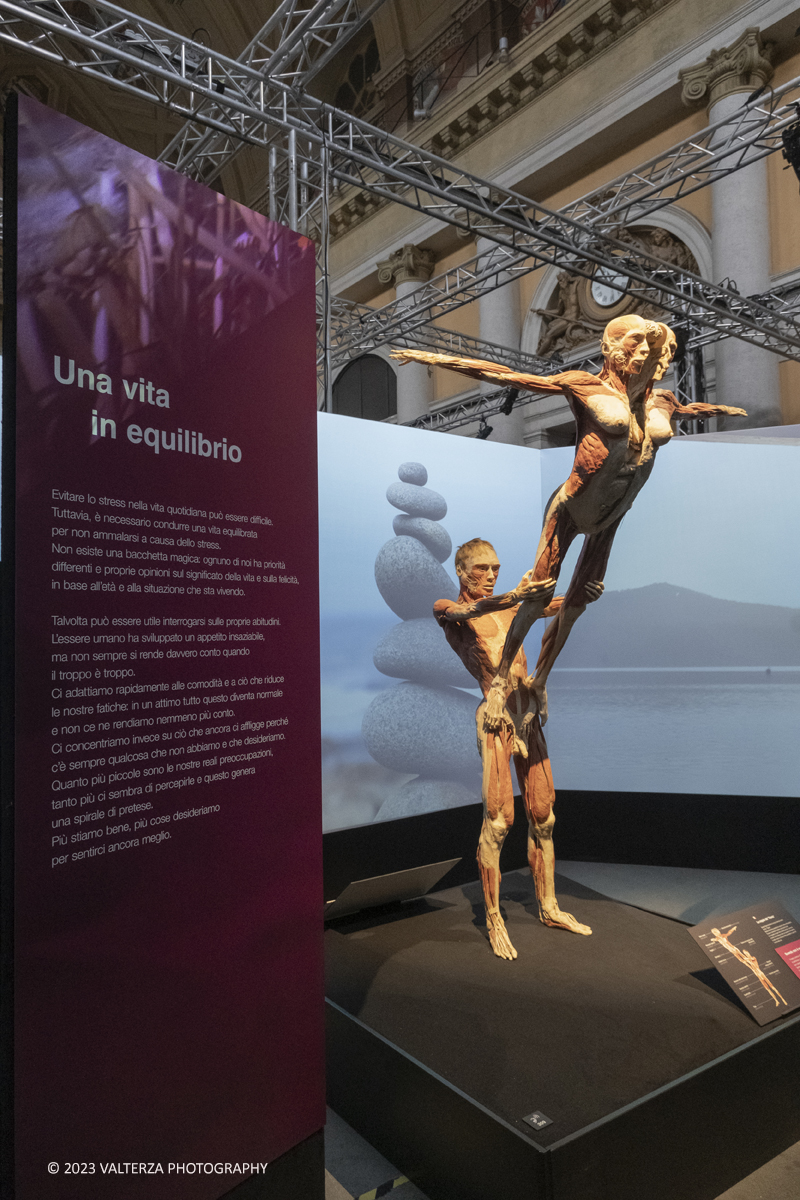 _DSF5291.jpg - 15/09/20223. Torino. La Sala degli Stemmi della Stazione di Torino Porta Nuova ospita, dal 15 settembre 2023 al 14 gennaio 2024, la nuova mostra originale â€œBody Worlds Vitalâ€�. Nella foto sezione dedicata all'importanza di una vita equilibrata