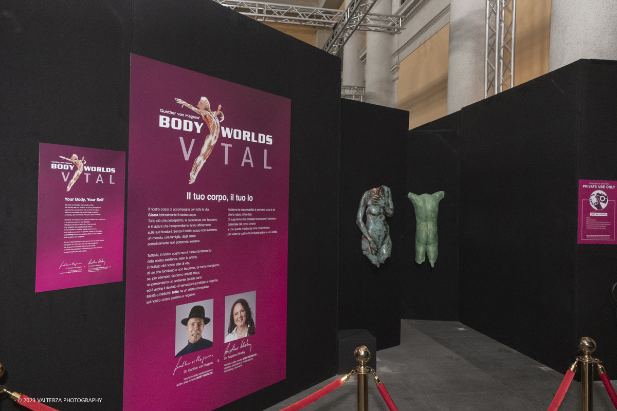 _DSF5304.jpg - 15/09/20223. Torino. La Sala degli Stemmi della Stazione di Torino Porta Nuova ospita, dal 15 settembre 2023 al 14 gennaio 2024, la nuova mostra originale â€œBody Worlds Vitalâ€�. Nella foto l'area di ingresso alla mostra