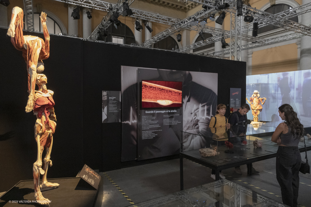 _DSF5318.jpg - 15/09/20223. Torino. La Sala degli Stemmi della Stazione di Torino Porta Nuova ospita, dal 15 settembre 2023 al 14 gennaio 2024, la nuova mostra originale â€œBody Worlds Vitalâ€�. Nella foto in visita alla mostra