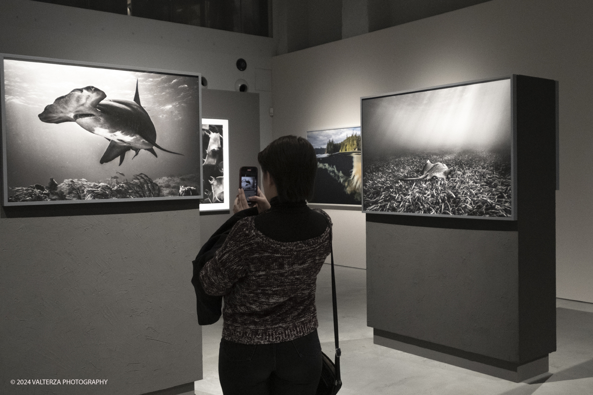 _DSF8112.jpg - 13/0372024. Torino.  Il percorso espositivo, organizzato attorno ai tre grandi temi del mondo sottomarino, del mondo terrestre e dei popoli tribali, sviluppa lâ€™idea dellâ€™artista di "enoughnessâ€� come via per comprendere quale sia il nostro posto allâ€™interno dellâ€™ecosistema globale. Nella foto in visitaa alla mostra