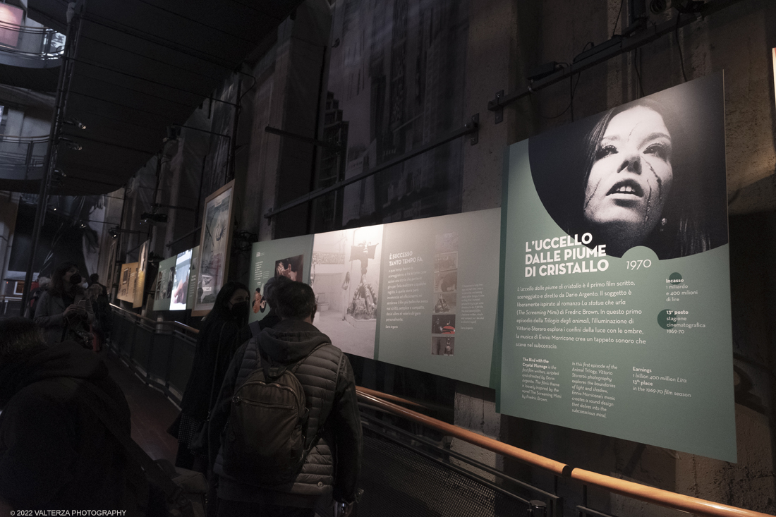 _DSF1031.jpg - 05/04/2022. Torino. Presentata la prima mostra dedicata a un grande maestro del cinema: il regista, sceneggiatore e produttore Dario Argento (Roma, 1940). Nella foto materiale del film L'uccello dalle piume di cristallo 1970