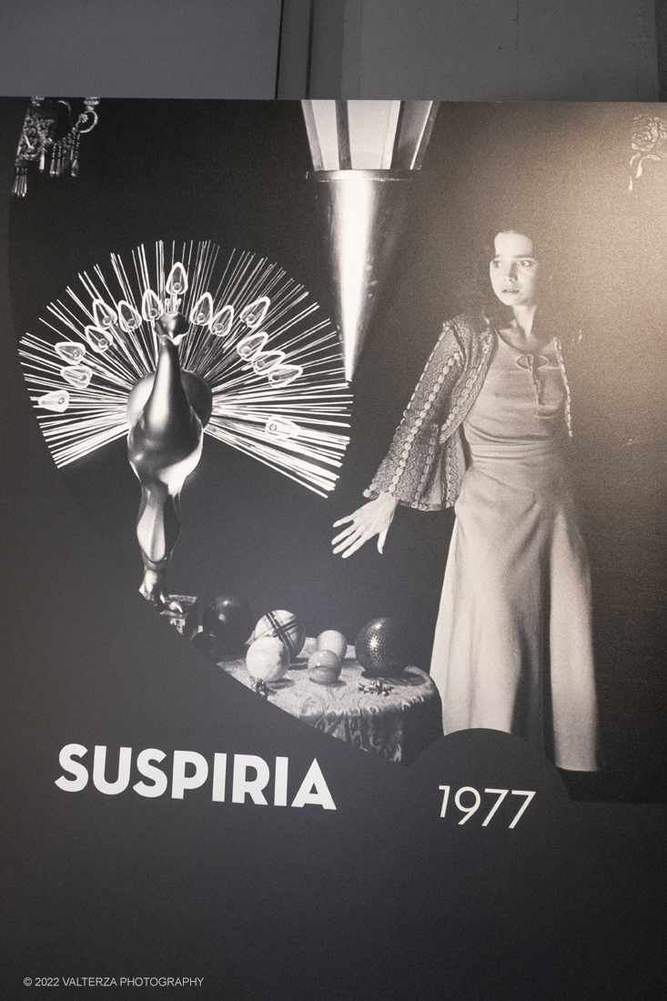 _DSF1147.jpg - 05/04/2022. Torino. Presentata la prima mostra dedicata a un grande maestro del cinema: il regista, sceneggiatore e produttore Dario Argento (Roma, 1940). Nella foto materiale del film Suspiria 1977