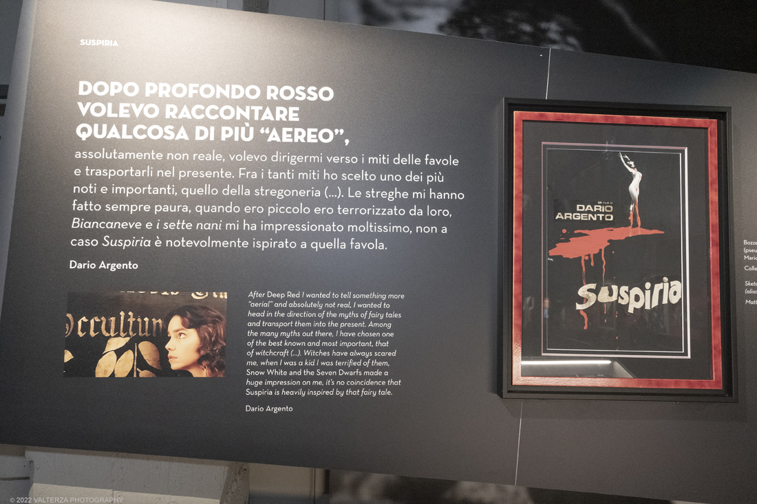 _DSF1148.jpg - 05/04/2022. Torino. Presentata la prima mostra dedicata a un grande maestro del cinema: il regista, sceneggiatore e produttore Dario Argento (Roma, 1940). Nella foto materiale del film Suspiria 1977