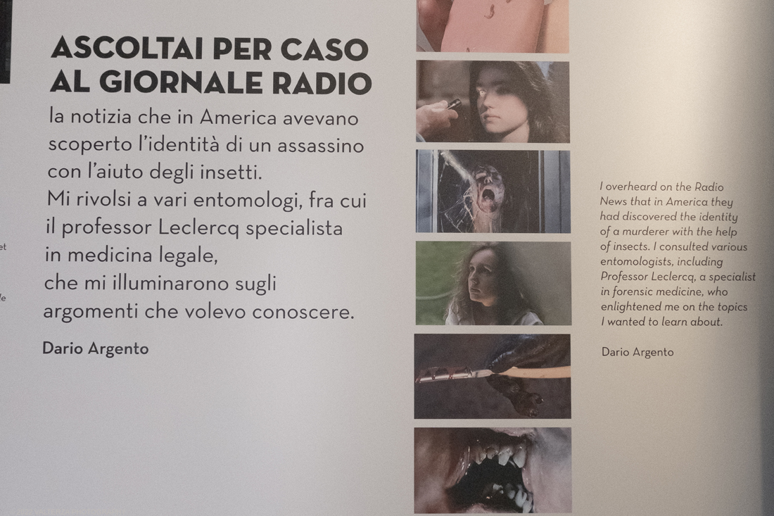 _DSF1191.jpg - 05/04/2022. Torino. Presentata la prima mostra dedicata a un grande maestro del cinema: il regista, sceneggiatore e produttore Dario Argento (Roma, 1940). Nella foto materiale del film Phenomena 1985