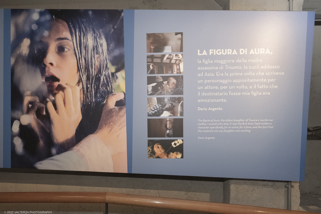 _DSF1223.jpg - 05/04/2022. Torino. Presentata la prima mostra dedicata a un grande maestro del cinema: il regista, sceneggiatore e produttore Dario Argento (Roma, 1940). Nella foto la figura di Aura nel film Trauma