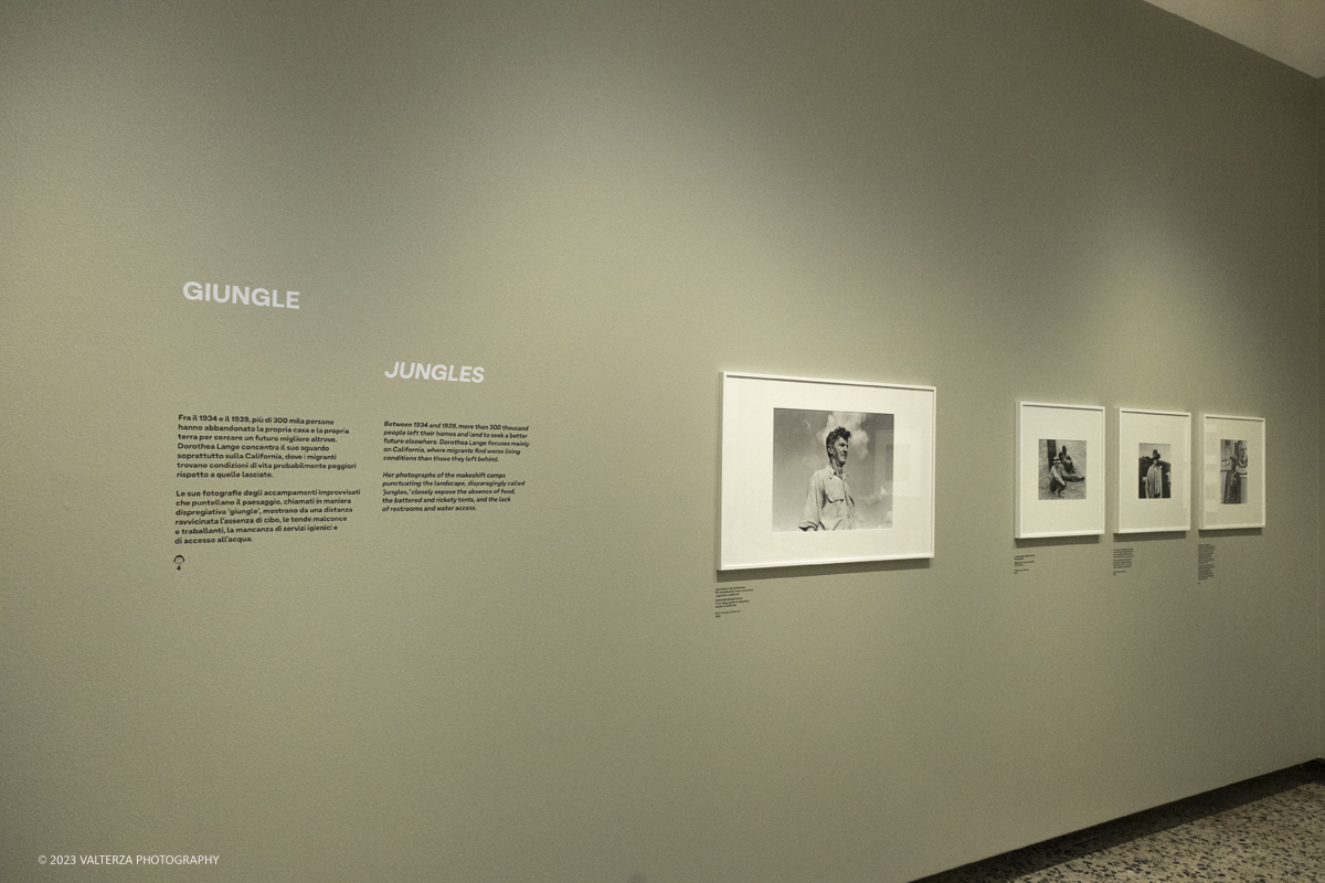 _DSF8056.jpg - 18/07/2023. Torino. La mostra si compone di 200 immagini  e presenta la carriera di Dorothea Lange. Il percorso di mostra si concentra in particolare sugli anni Trenta e Quaranta, picco assoluto della sua attivitÃ . Nella foto parte dell'allestimento della mostra