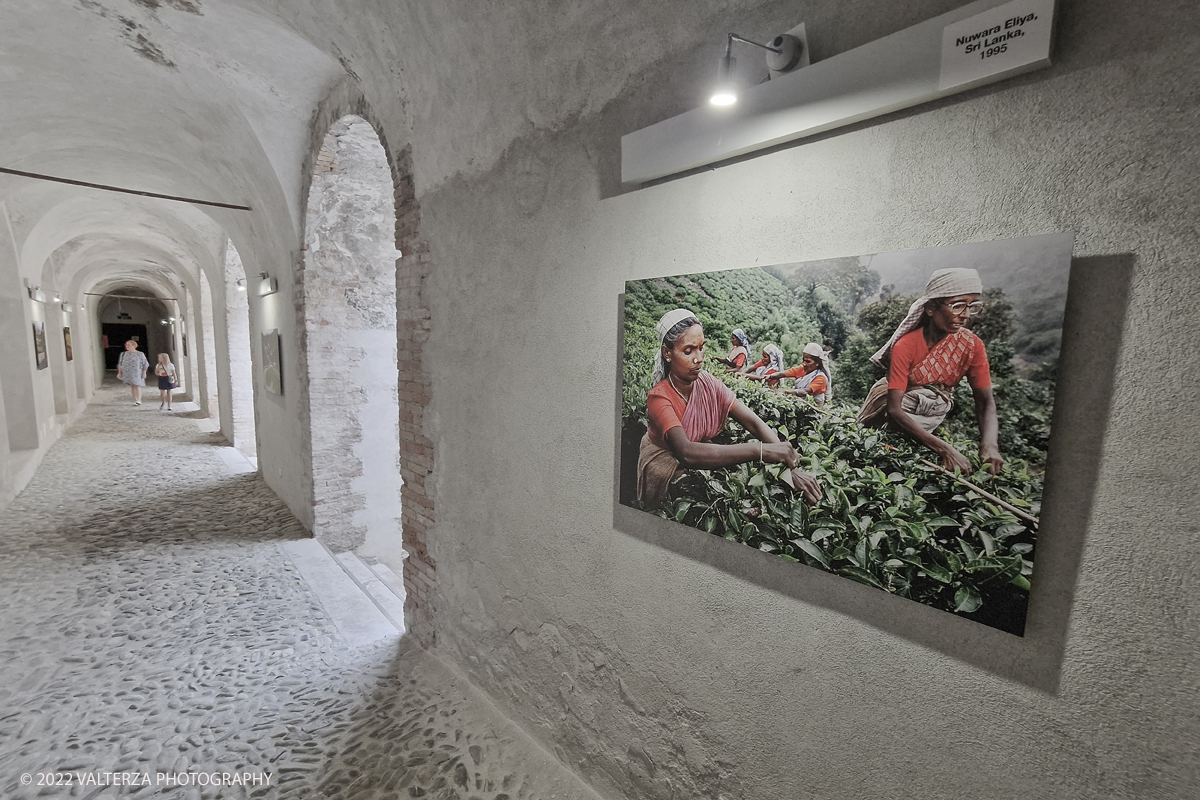 20220817_175503.jpg - 17/0872022. Ventimiglia. Qui abbiamo il cibo come leitmotiv della mostra, inteso come espressione diretta di culture e territori diversi, in declinazioni che documentano la vita quotidiana di popolazioni lontane, illustrando scene di pesca, di agricoltura, di commerci, di trasporti, in ciascuna foto Steve McCurry riesce sempre a cogliere, secondo le sue intenzioni, â€œqualcosa di insolito e di unicoâ€�.