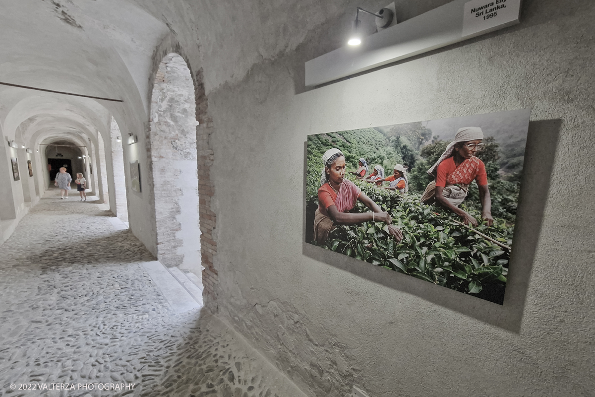 20220817_175504.jpg - 17/0872022. Ventimiglia. Qui abbiamo il cibo come leitmotiv della mostra, inteso come espressione diretta di culture e territori diversi, in declinazioni che documentano la vita quotidiana di popolazioni lontane, illustrando scene di pesca, di agricoltura, di commerci, di trasporti, in ciascuna foto Steve McCurry riesce sempre a cogliere, secondo le sue intenzioni, â€œqualcosa di insolito e di unicoâ€�.