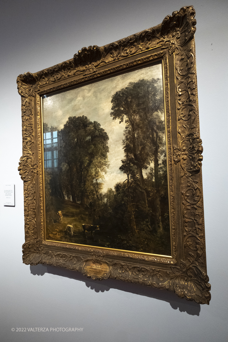 _DSF4026.jpg - 24/10/2022 .Torino. Per la prima volta in Italia una mostra dedicata al celebre artista John Constable: oltre cinquanta opere, provenienti dalla Tate UK, ripercorrono cronologicamente la vicenda artistica del pittore, tra i massimi esponenti della pittura romantica inglese. Nella foto John Constable Alberi a Hampstead, 1829