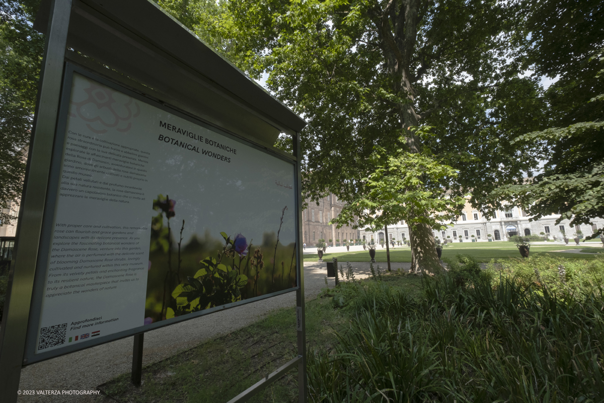 _DSF6635.jpg - 04/07/2023. Torino. Una mostra fotografica, unâ€™installazione artistica e un programma di eventi promuovono il patrimonio culturale siriano attraverso la conoscenza della secolare coltivazione e trasformazione del fiore, Patrimonio Immateriale dellâ€™UmanitÃ  UNESCO. Nella foto parti di installazione della mostra nel boschetto dei Giardini Reali