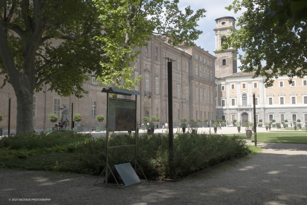 _DSF6665.jpg - 04/07/2023. Torino. Una mostra fotografica, unâ€™installazione artistica e un programma di eventi promuovono il patrimonio culturale siriano attraverso la conoscenza della secolare coltivazione e trasformazione del fiore, Patrimonio Immateriale dellâ€™UmanitÃ  UNESCO. Nella foto parti di installazione della mostra nel boschetto dei Giardini Reali