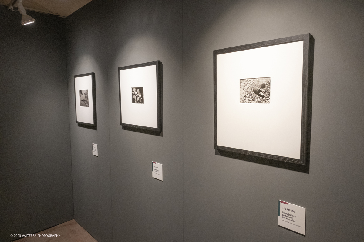 _DSF4319.jpg - 08/09/2023. Torino. La mostra ripercorre la vicenda umana e professionale di Lee Miller ponendo lâ€™attenzione sullo sguardo surrealista della fotografa Nella foto parte dell'allestimento della mostra