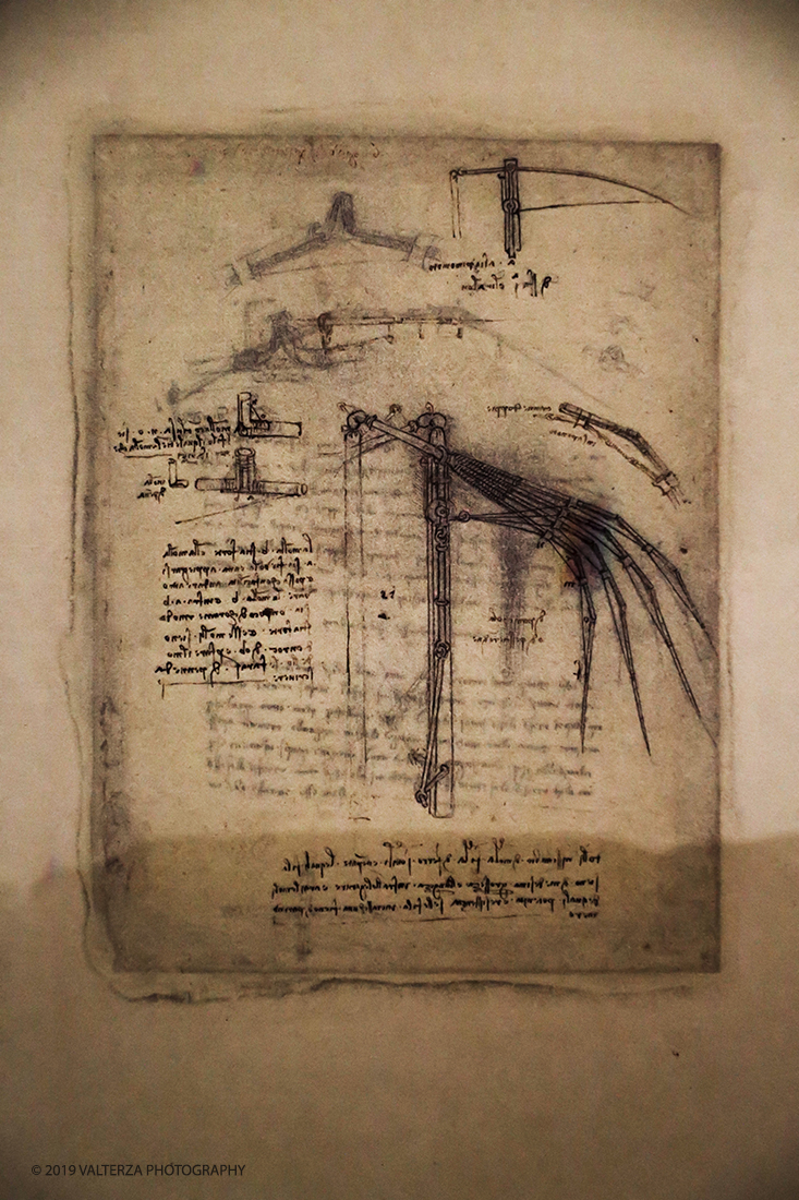 _G3I1866.jpg - 15/04/2019. Torino. La Mostra celebra i cinquecento anni della morte di Leonardo.Il percorso ruota interno al nucleo di disegni autografidi Leonardo da VInci conservati alla Biblioteca reale di Torino. Nella foto Codice atlantico, particolari di un'ala meccanica circa 1493-1494