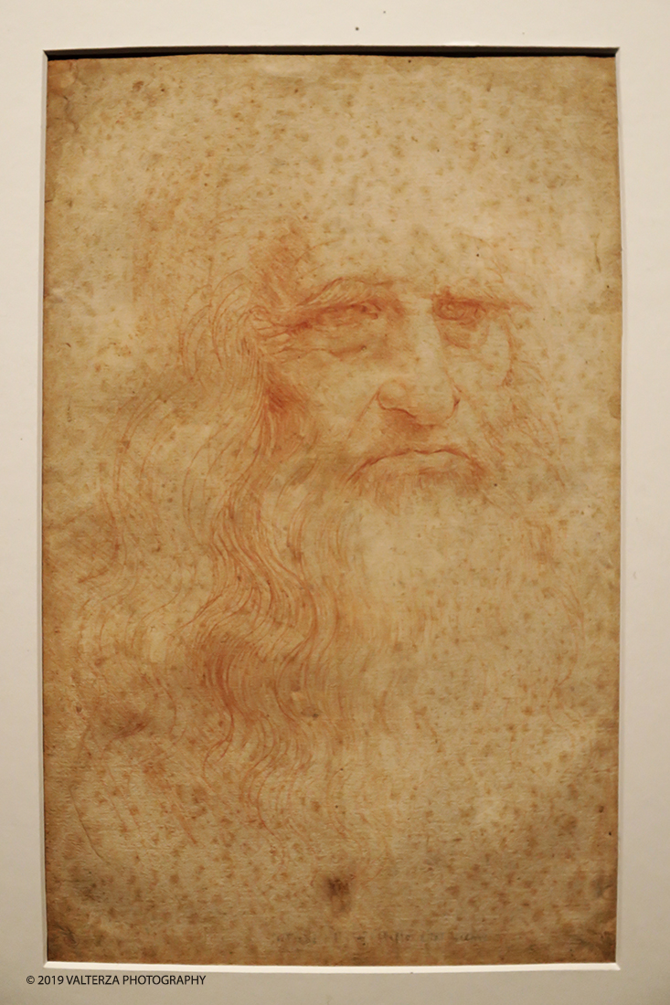 _G3I1964.jpg - 15/04/2019. Torino. La Mostra celebra i cinquecento anni della morte di Leonardo.Il percorso ruota interno al nucleo di disegni autografidi Leonardo da VInci conservati alla Biblioteca reale di Torino. Nella foto il  celebre autoritratto