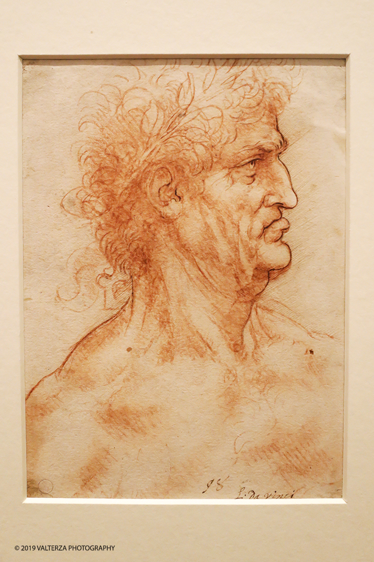 _G3I2013.jpg - 15/04/2019. Torino. La Mostra celebra i cinquecento anni della morte di Leonardo.Il percorso ruota interno al nucleo di disegni autografidi Leonardo da VInci conservati alla Biblioteca reale di Torino. Nella foto testa virile di profilo incoronata di alloro circa 1506 -1510