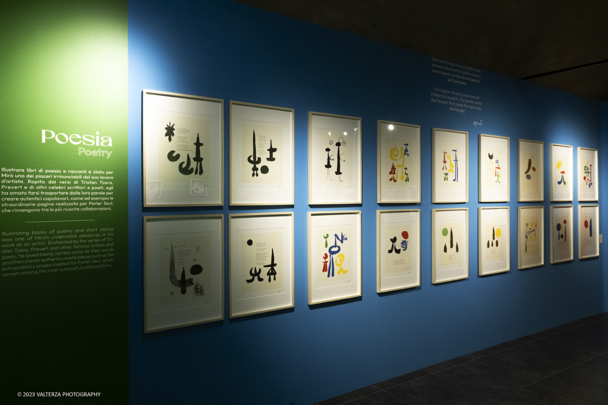 _DSF2666.jpg - 27/10/2023. Torino.  Mostra antologica dedicata allâ€™artista catalano MirÃ². A quarantâ€™anni dalla sua scomparsa lâ€™esposizione, che comprende quasi 200 opere, celebra la sua prolifica arte improntata alla joie de vivre con una raccolta di opere datate 1924 - 1981, la maggior parte delle quali mai esposte al pubblico. In mostra al Mastio della Cittadella dal 28 ottobre a 14 gennaio. Nella foto Joan MirÃ³ opere dedicate al tema della poesia