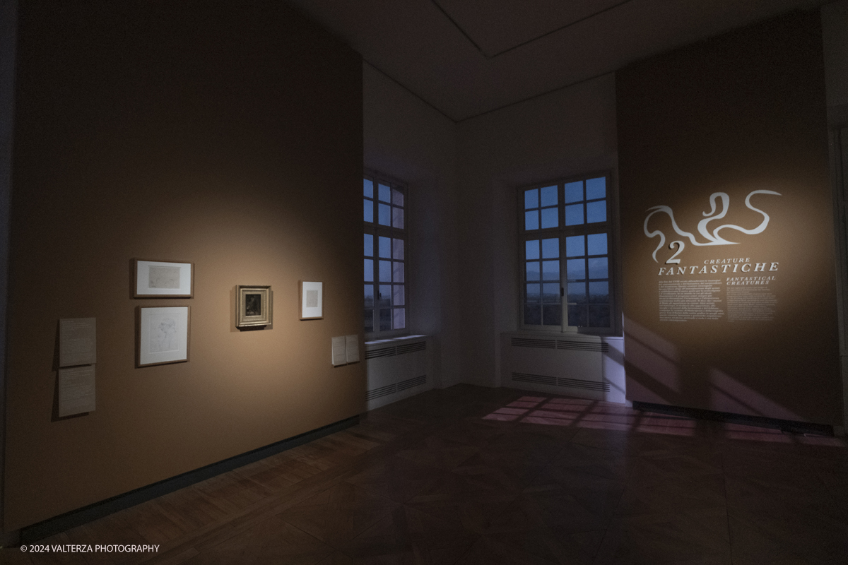 _DSF2445.jpg - Willia Blake and his era: an exhibition at the Reggia di Venaria . Part of the installation