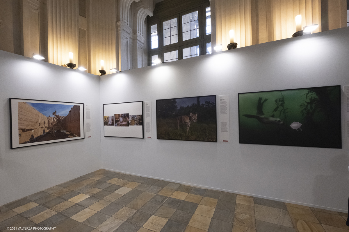 _DSF4734.jpg - 7/05/2021. Torino. Palazzo Madama ospita l'anteprima nazionale della mostra World Press Photo 2021. Nella foto immagini premiate nella sezione Ambiente e Natura