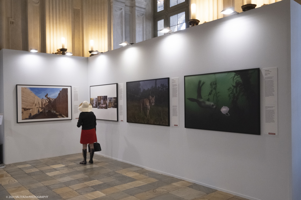 _DSF4783.jpg - 7/05/2021. Torino. Palazzo Madama ospita l'anteprima nazionale della mostra World Press Photo 2021. Nella foto  in visita alla mostra