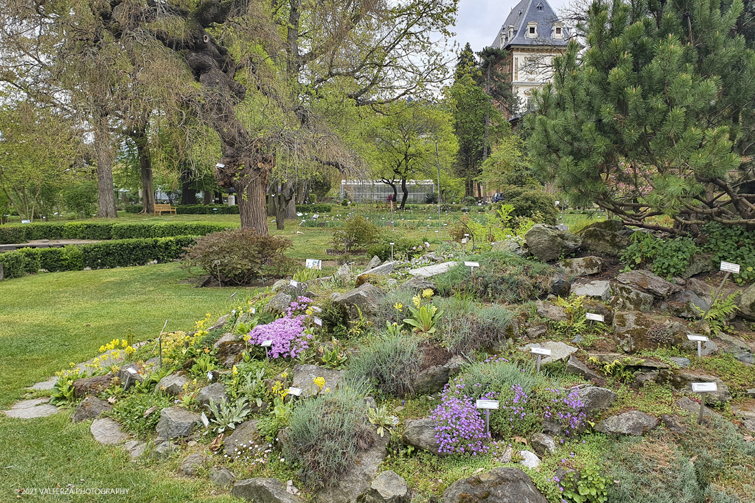 20210410_102437.jpg - Visita all'orto Botanico in occasione dell'apertura per la  Mostra mercato di piante riprodotte nell'Orto Botanico. Nella foto, vista del lato sud-ovest del giardino con aiuola dedicata alla flora d'altitudine.