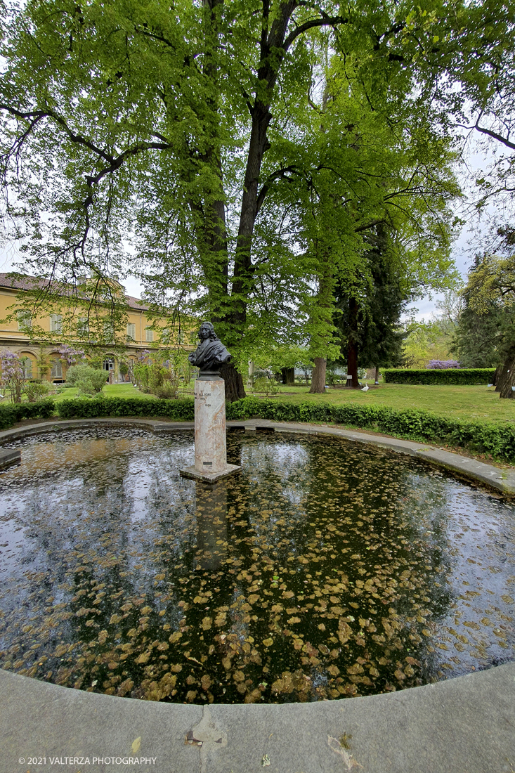 20210410_104346.jpg - Visita all'orto Botanico in occasione dell'apertura per la  Mostra mercato di piante riprodotte nell'Orto Botanico. Nella foto, vasca con piante acquatiche ed al centro il busto di Carlo Allioni nell'area centrale del giardino.