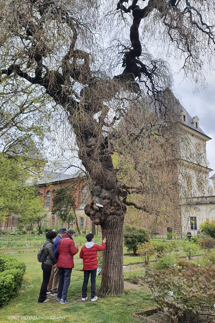 20210410_151657.jpg - Visita all'orto Botanico in occasione dell'apertura per la  Mostra mercato di piante riprodotte nell'Orto Botanico. Nella foto, visita al giardino dell'orto botanico