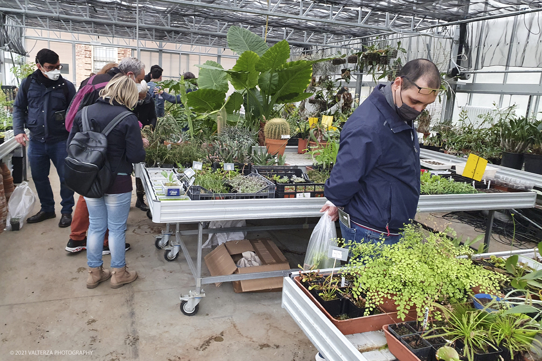 20210410_152539.jpg - Visita all'orto Botanico in occasione dell'apertura per la  Mostra mercato di piante riprodotte nell'Orto Botanico. Nella foto, appassionati in visita alla Mostra mercato per fare acquisti