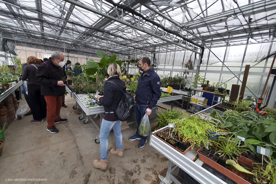 20210410_152552.jpg - Visita all'orto Botanico in occasione dell'apertura per la  Mostra mercato di piante riprodotte nell'Orto Botanico. Nella foto, appassionati in visita alla Mostra mercato per fare acquisti