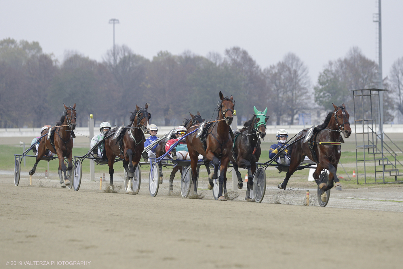 _G3I0840.jpg - 01/11/2019. Ippodromo di Vinovo. Un momento della competizione durante il Gran Premio Orsi Mangelli