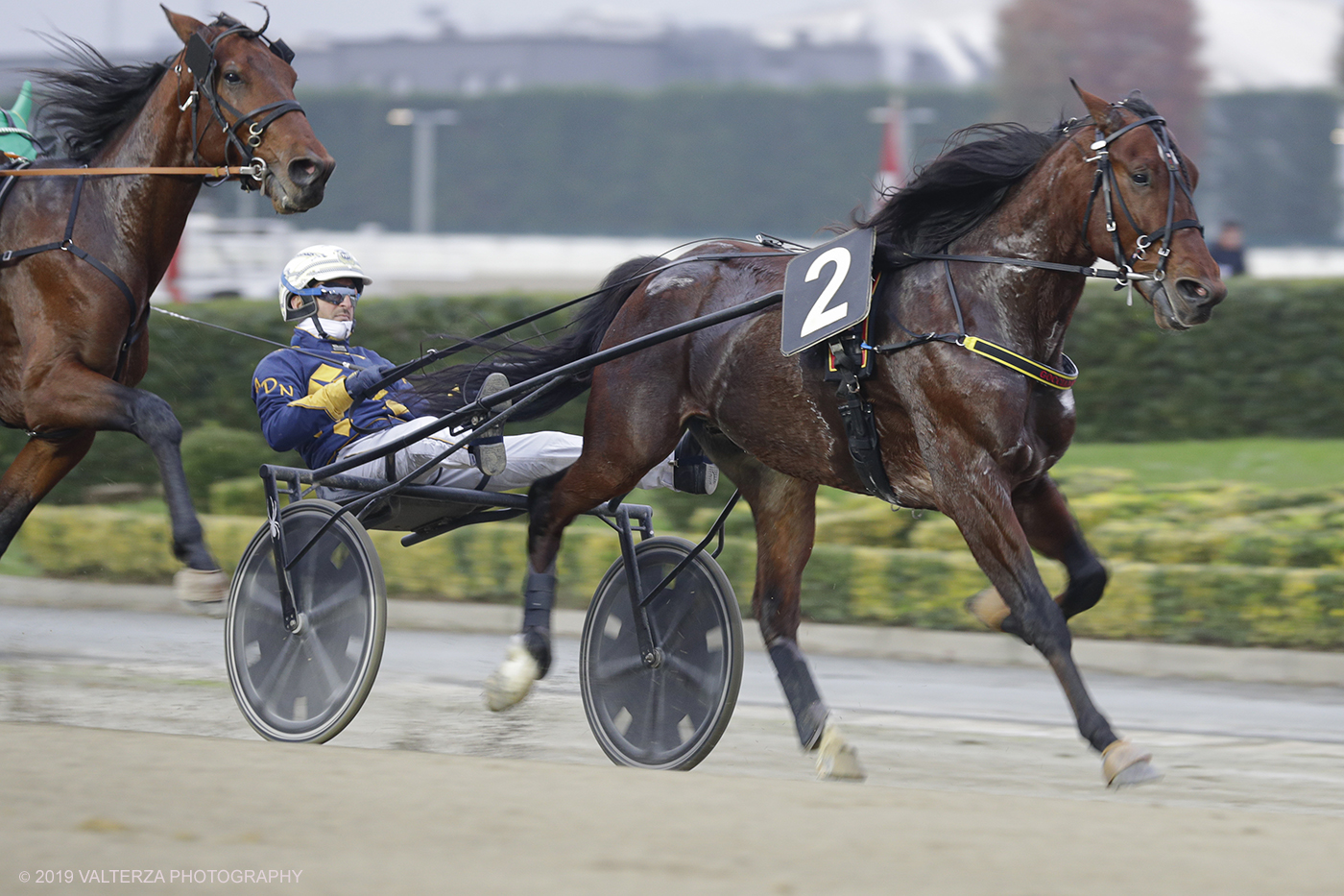 _G3I0843.jpg - 01/11/2019. Ippodromo di Vinovo. Un momento della competizione durante il Gran Premio Orsi Mangelli