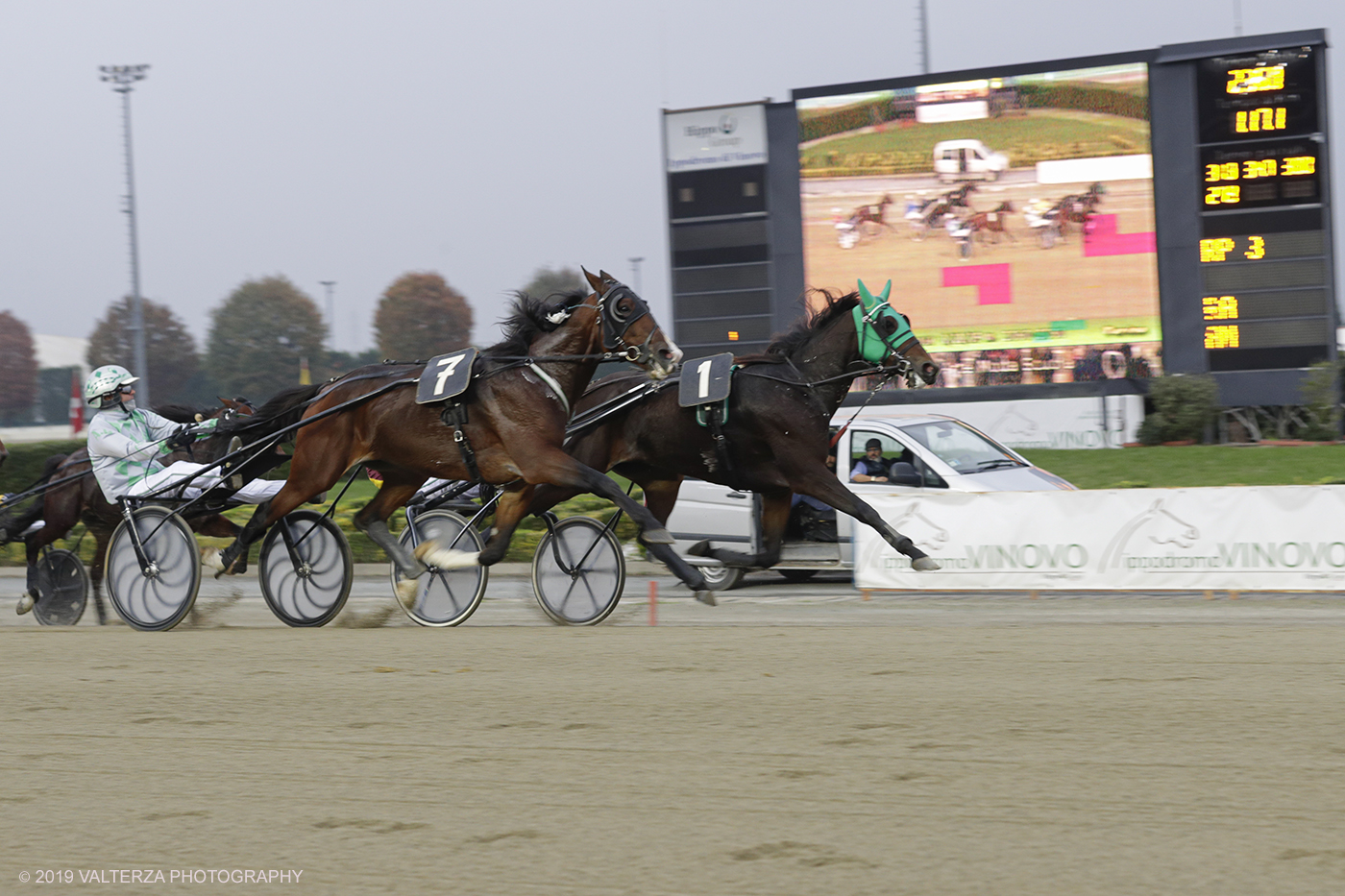 _G3I0857.jpg - 01/11/2019. Ippodromo di Vinovo. Un momento della competizione durante il Gran Premio Orsi Mangelli