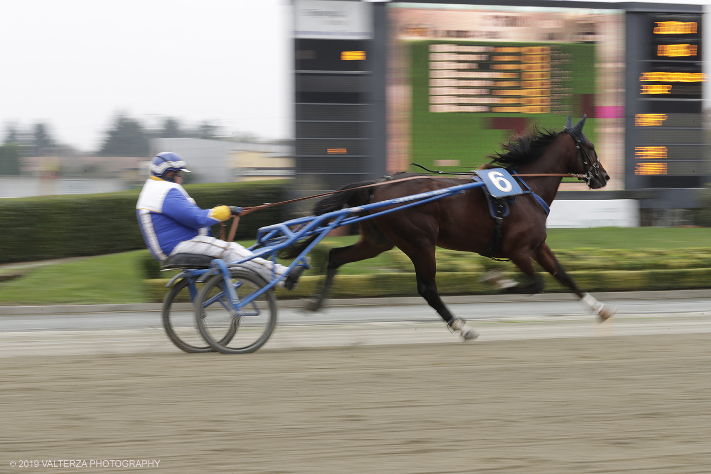 _G3I9011.jpg - 01/11/2019. Ippodromo di Vinovo. Un momento della competizione durante il Gran Premio Orsi Mangelli