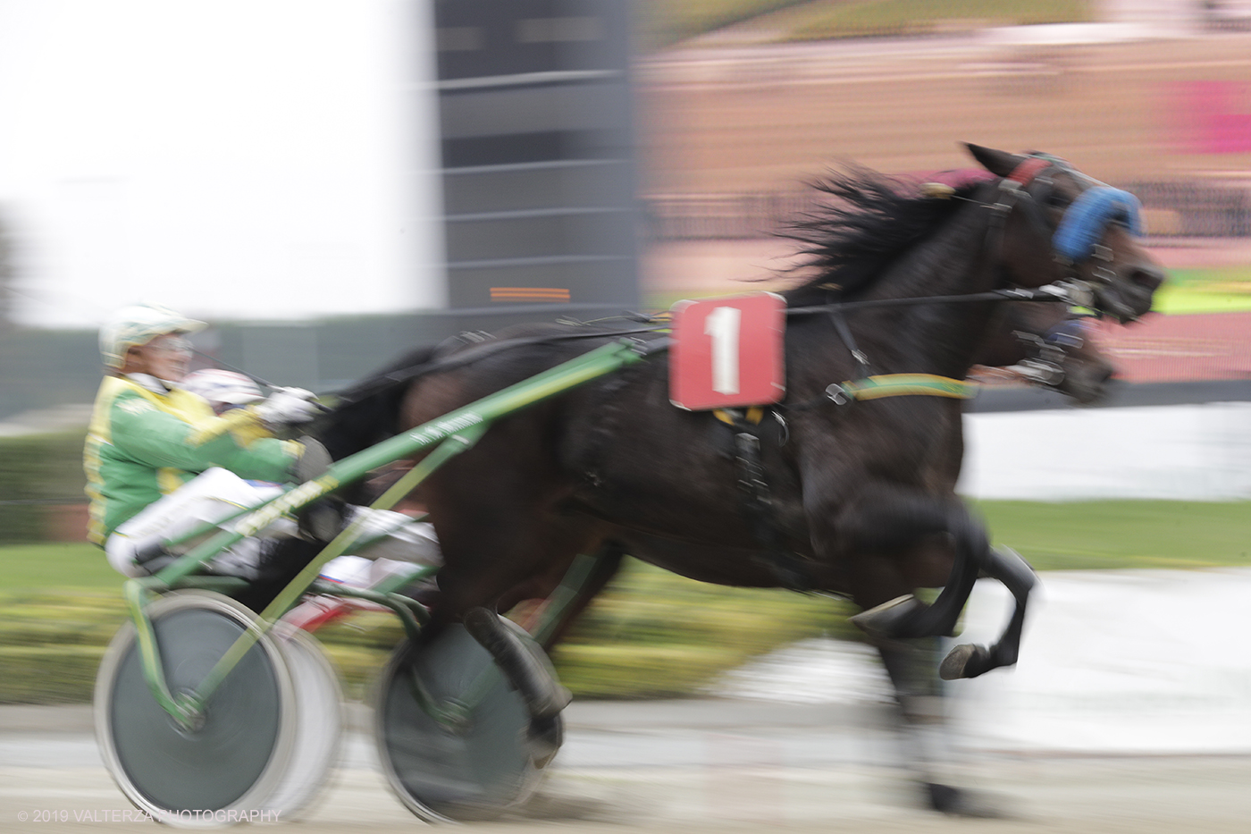 _G3I9044.jpg - 01/11/2019. Ippodromo di Vinovo. Un momento della competizione durante il Gran Premio Orsi Mangelli