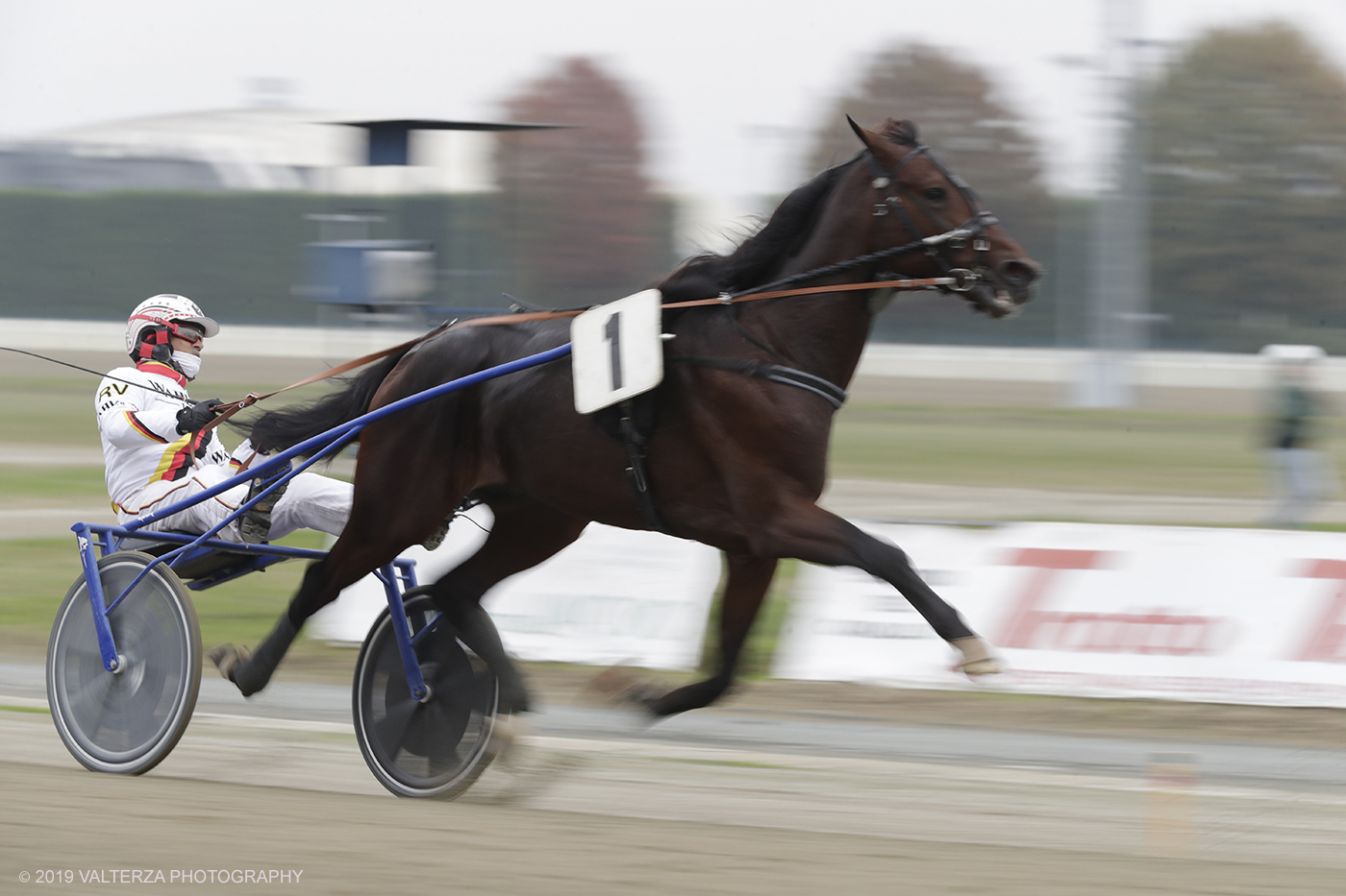 _G3I9376.jpg - 01/11/2019. Ippodromo di Vinovo. Un momento della competizione durante il Gran Premio Orsi Mangelli