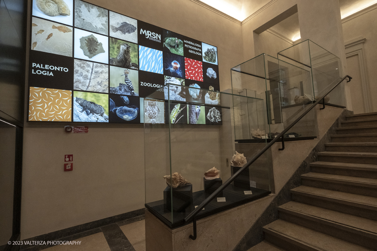 _DSF1111.jpg - 12/01/2024. Torino. Il Il Museo Regionale di Scienze Naturali di Torino riapre al pubblico   dopo oltre dieci anni di chiusura. La riapertura prevede un rinnovato e interattivo percorso espositivo che si sviluppa su tre principali aree: Museo Storico di Zoologia, Arca delle Esplorazioni e Sala delle Meraviglie. Nella foto l'area di ingresso al Museo