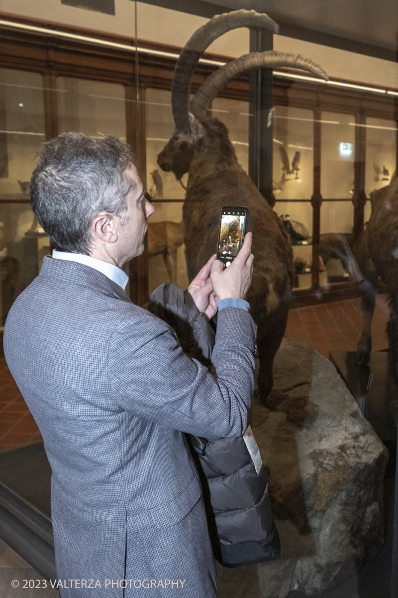 _DSF1236.jpg - 12/01/2024. Torino. Il Il Museo Regionale di Scienze Naturali di Torino riapre al pubblico   dopo oltre dieci anni di chiusura. La riapertura prevede un rinnovato e interattivo percorso espositivo che si sviluppa su tre principali aree: Museo Storico di Zoologia, Arca delle Esplorazioni e Sala delle Meraviglie. Nella foto in visita al MRSN