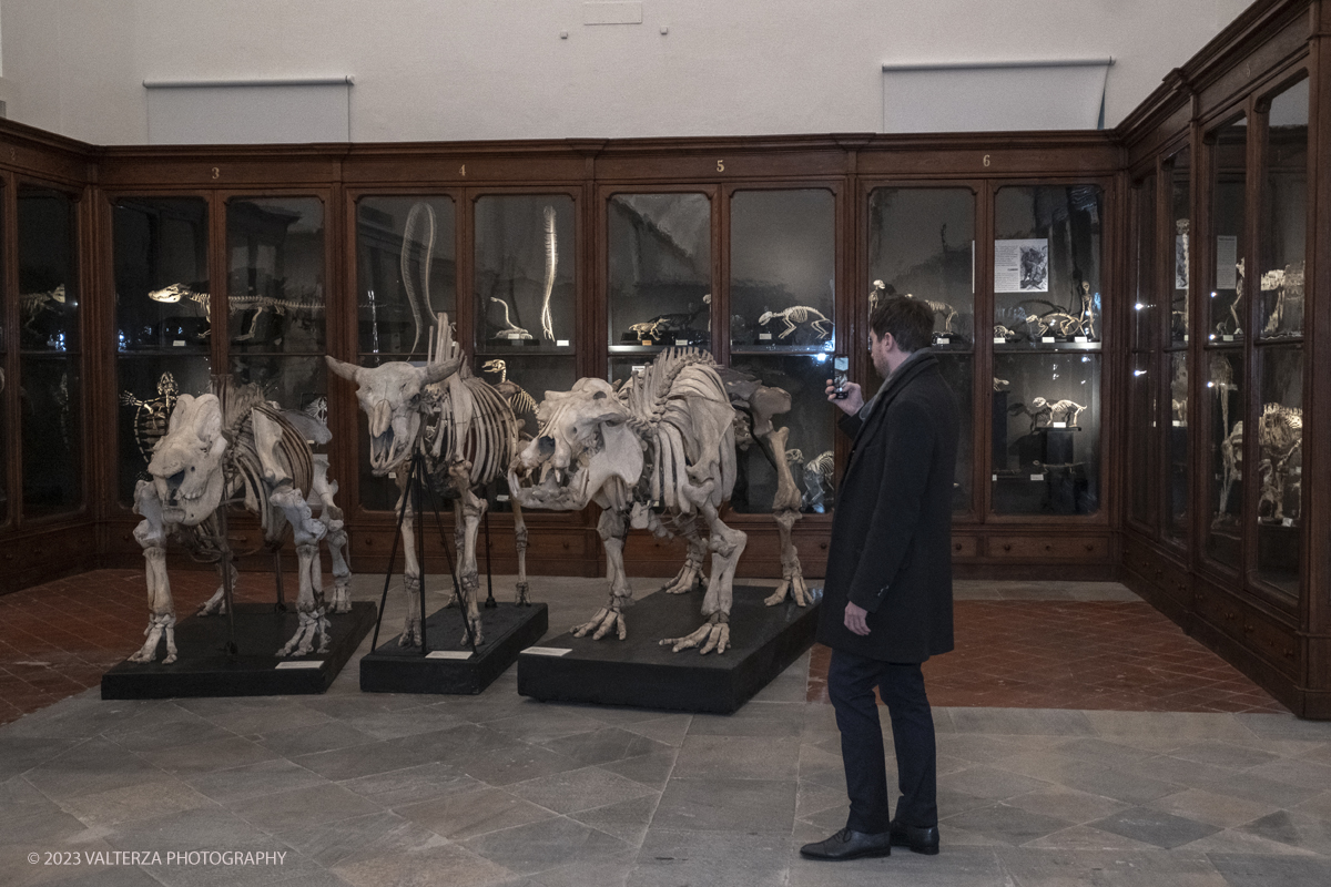 _DSF1240.jpg - 12/01/2024. Torino. Il Il Museo Regionale di Scienze Naturali di Torino riapre al pubblico   dopo oltre dieci anni di chiusura. La riapertura prevede un rinnovato e interattivo percorso espositivo che si sviluppa su tre principali aree: Museo Storico di Zoologia, Arca delle Esplorazioni e Sala delle Meraviglie. Nella foto in visita al MRSN