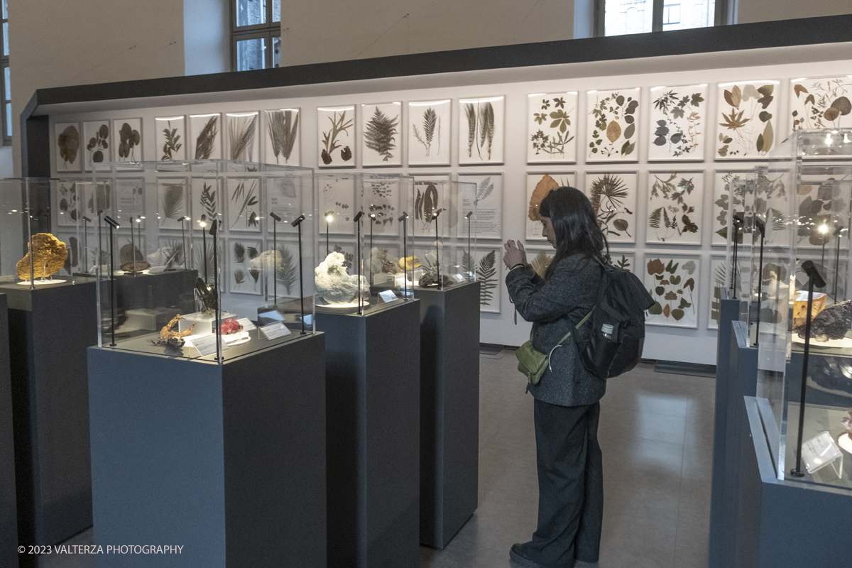 _DSF5073.jpg - 12/01/2024. Torino. Il Il Museo Regionale di Scienze Naturali di Torino riapre al pubblico   dopo oltre dieci anni di chiusura. La riapertura prevede un rinnovato e interattivo percorso espositivo che si sviluppa su tre principali aree: Museo Storico di Zoologia, Arca delle Esplorazioni e Sala delle Meraviglie. Nella foto in visita al MRSN