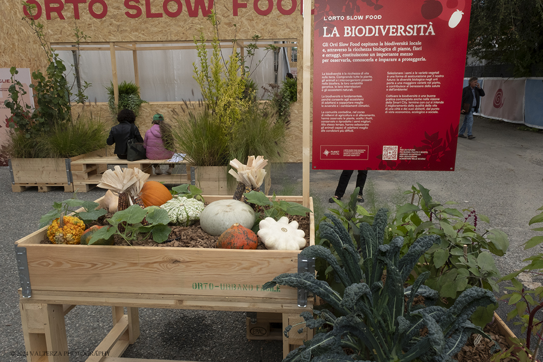 _DSF6155.jpg - 26/09/2024. Torino. Terra Madre Salone del Gusto Ã¨ lâ€™evento mondiale dedicato al cibo buono, pulito e giusto e alle politiche alimentari. Nella foto l'area dedicata all'orto Slow Food