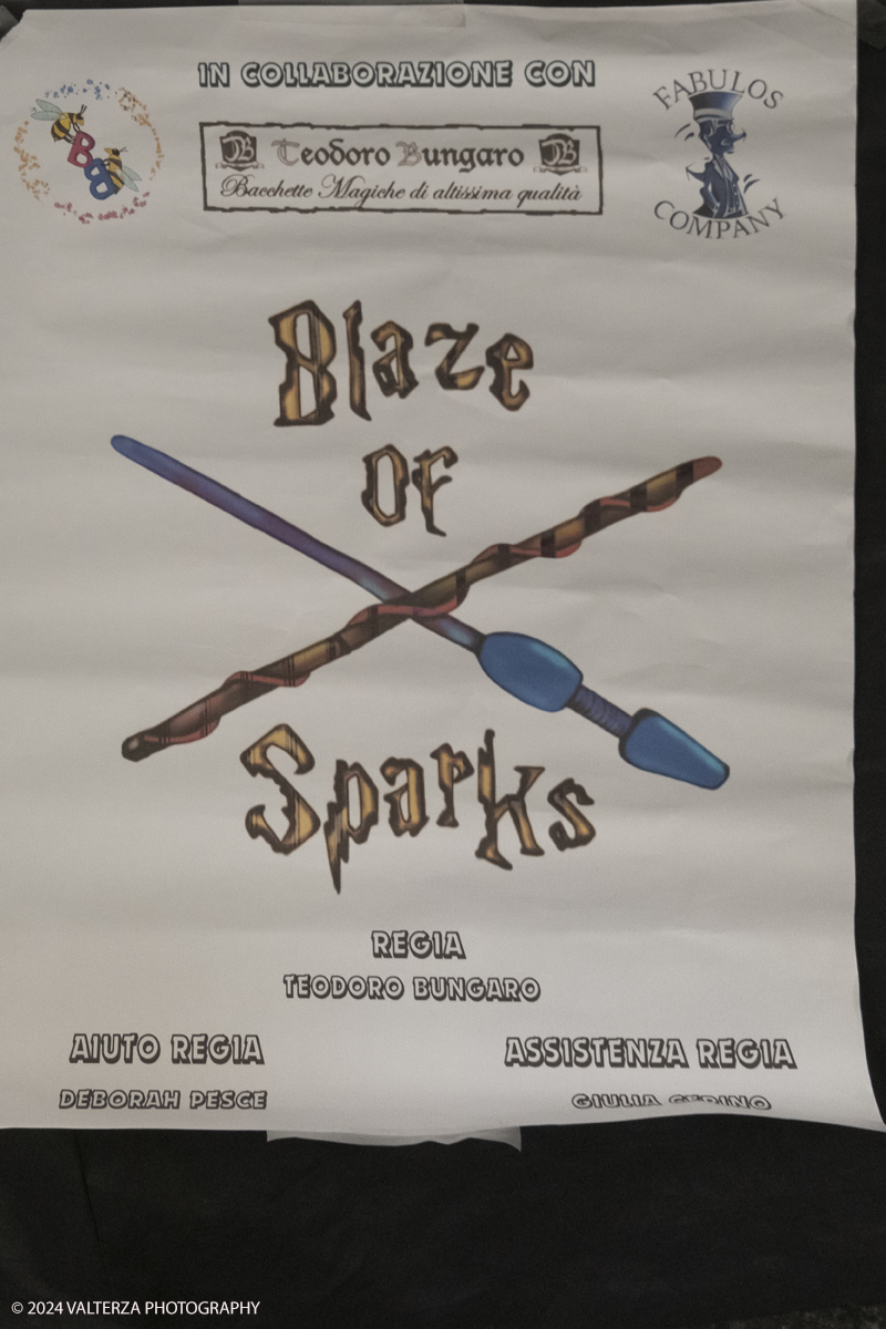 _DSF9437.jpg - 12/04/2024, Torino,..L'evento celebra quest'anno i suoi 30 anni di vita con una edizione speciale  particolarmente ampia. Nella foto Blaze  of  Sparks spettacolo teatrale di intrattenimento dei visitatori