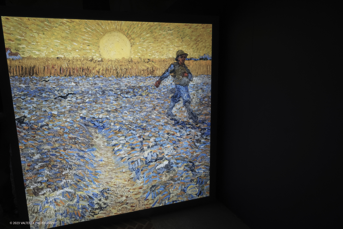 _DSF5157.jpg - 17/03/2023. Torino. Arriva a Torino VanGogh experience,  la mostra multimediale che abbraccia il visitatore in una nuova esperienza multisensoriale. Nella foto la prima parte della mostra