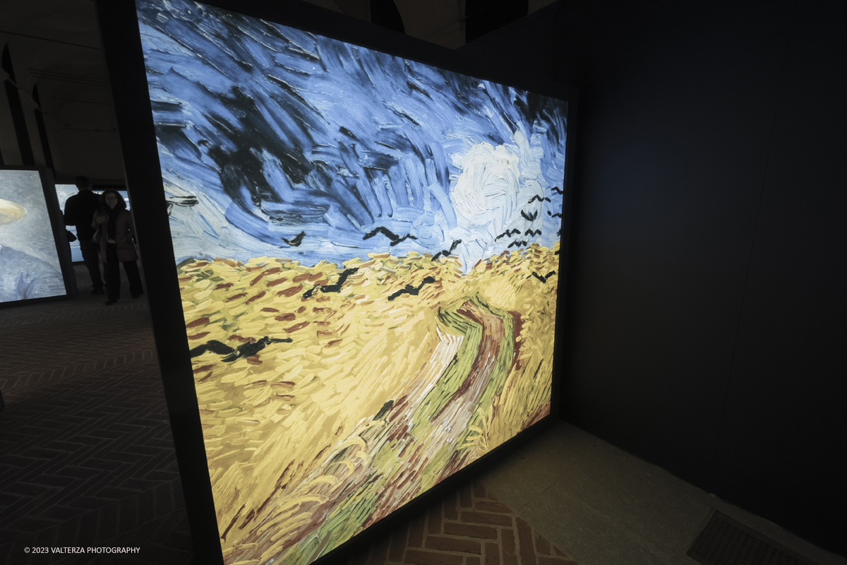 _DSF5208.jpg - 17/03/2023. Torino. Arriva a Torino VanGogh experience,  la mostra multimediale che abbraccia il visitatore in una nuova esperienza multisensoriale. Nella foto la prima parte della mostra