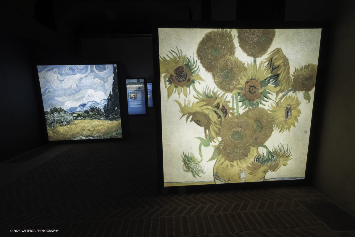 _DSF5674.jpg - 17/03/2023. Torino. Arriva a Torino VanGogh experience,  la mostra multimediale che abbraccia il visitatore in una nuova esperienza multisensoriale. Nella foto la prima parte della mostra