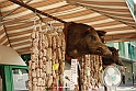 Torino_24_05_2009FestaAmbiente_008