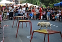 Torino_24_05_2009FestaAmbiente_140