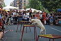 Torino_24_05_2009FestaAmbiente_146