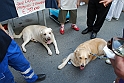 Torino_24_05_2009FestaAmbiente_154